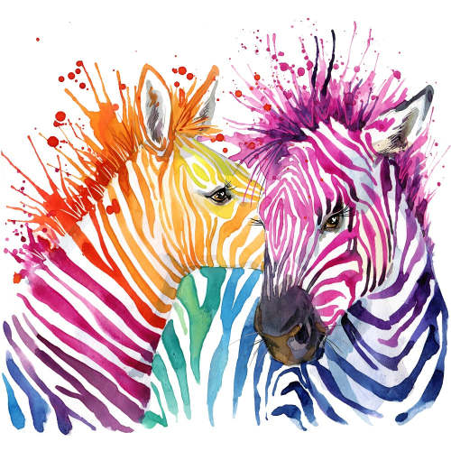 Zebra Diy Paint By Numbers Kits UK For Adult Kids DS61008676