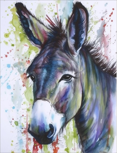 Donkey Paint By Numbers Kits UK MJ2016
