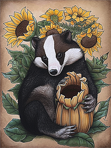 Raccoon Paint By Numbers Kits UK MJ7008