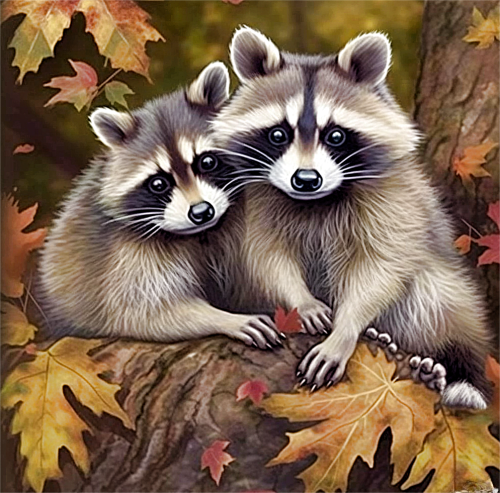 Raccoon Diy Paint By Numbers Kits UK For Adult Kids MJ7006