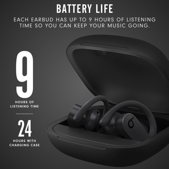 Beats Powerbeats Pro Totally Wireless Earphones – Black