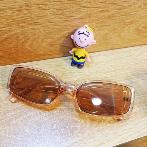 Small square Sunglasses