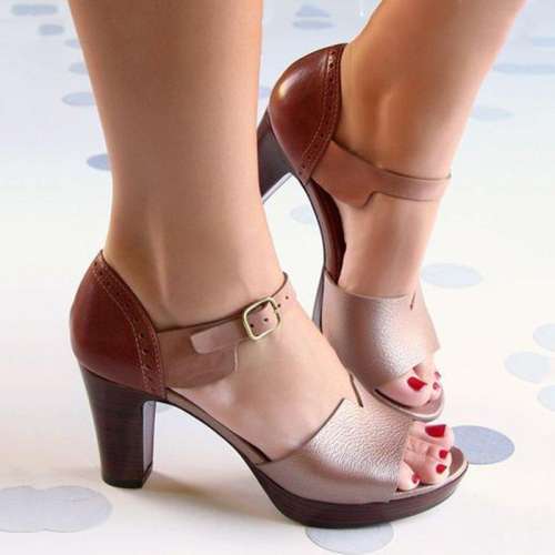 Chunky Heel Ankle Strap Elegant Shoes Working Daily Sandals