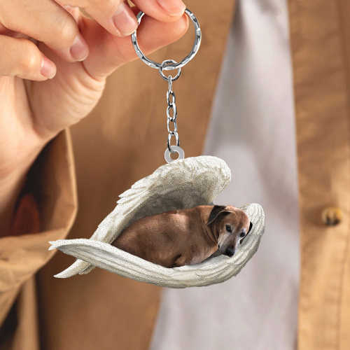 Dog Sleeping Angel Acrylic Keychain | Shop Now