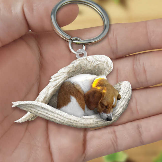 Dog Sleeping Angel Acrylic Keychain | Shop Now