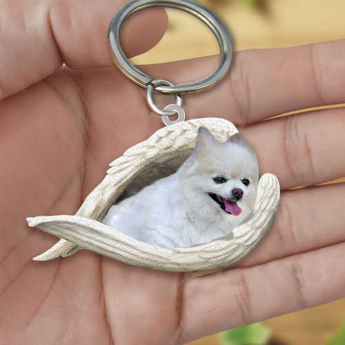 Pomeranian02 Sleeping Angel Acrylic Keychain | Shop Now