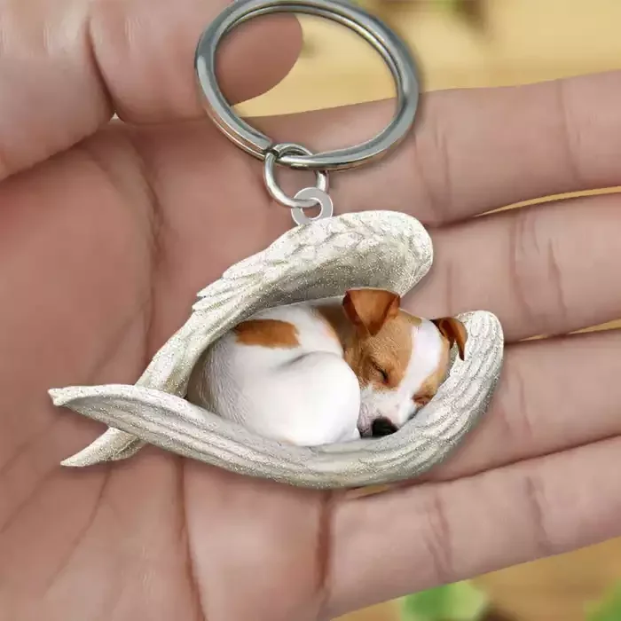French bulldog Sleeping Angel Acrylic Keychain | Shop Now