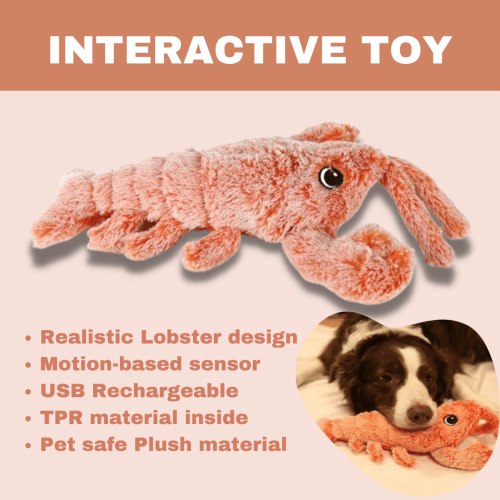 Floppy Lobster™ interactive dog toy