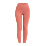 Peach Hips Streamlined Sports Leggings Yoga Pants