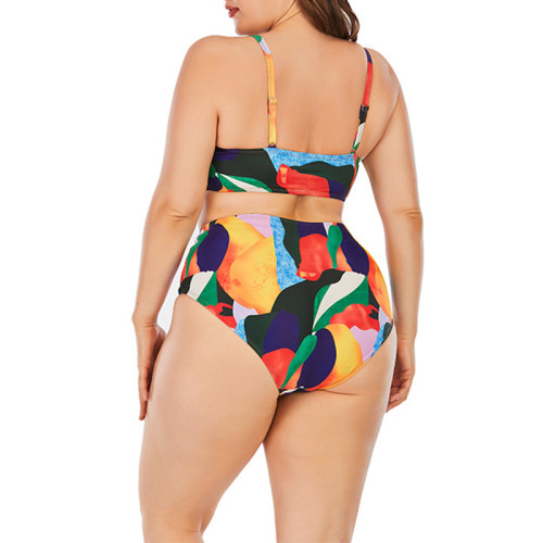 Print Plus Size Two Piece Bikini Set Swimwear