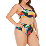 Print Plus Size Two Piece Bikini Set Swimwear