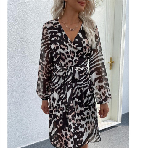 Leopard Print V-Neck Long Sleeve Mini Dress