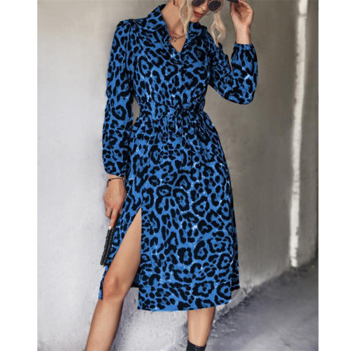 Leopard Long Sleeve Split Midi Dress