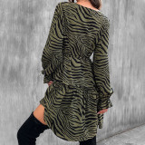Zebra Print Long Sleeve Mini Dress