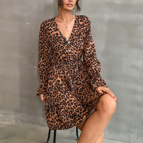 Leopard Print V-Neck Mini Dress