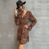 Leopard Print V-Neck Mini Dress