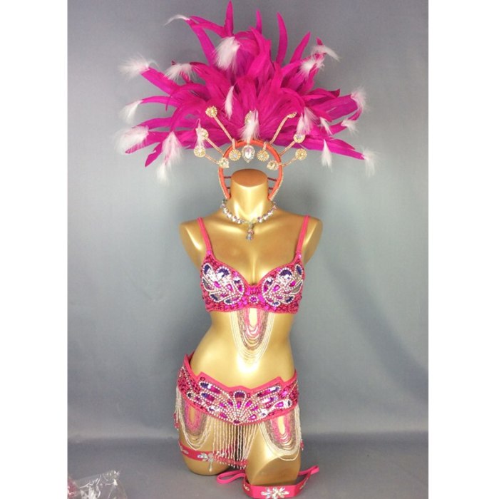 hot selling Sexy Samba Rio Carnival Costume  handmde new belly dance costume with hot pink Feather Head piece C1359 (Hot pink)