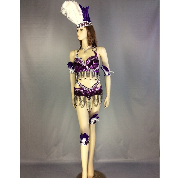 new design belly dance costume set Samba Carnivel RIO beaded Bra Costume Outfit Showgirl dancer wear 6colors TF250-6