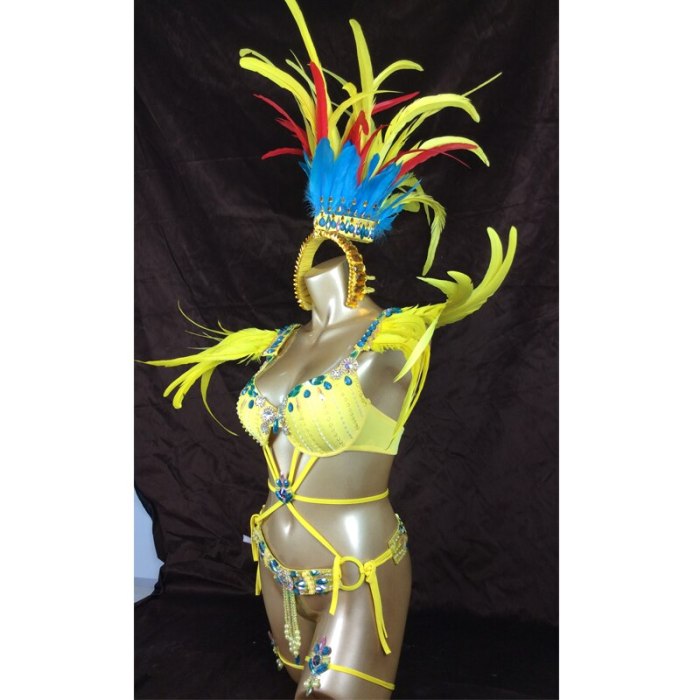 Sexy Samba Rio Carnival Costume  hot selling new belly dance costume with yellow Feather Head piece