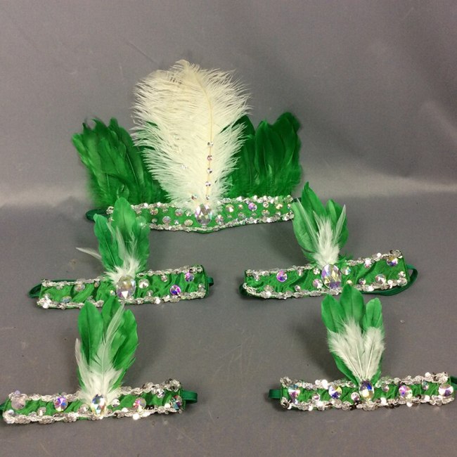 hot selling free shipping feathers head & arm & leg piece for samba dress carnival dress 5 pcs/set 7 color