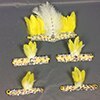 hot selling free shipping feathers head & arm & leg piece for samba dress carnival dress 5 pcs/set