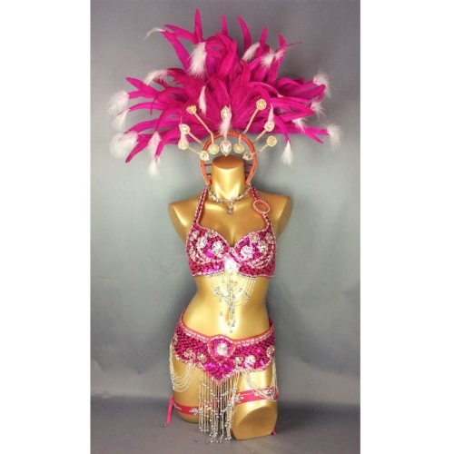 hot selling Sexy Samba Rio Carnival Costume  new belly dance costume with hot pink Feather Head piece C209 hot pink