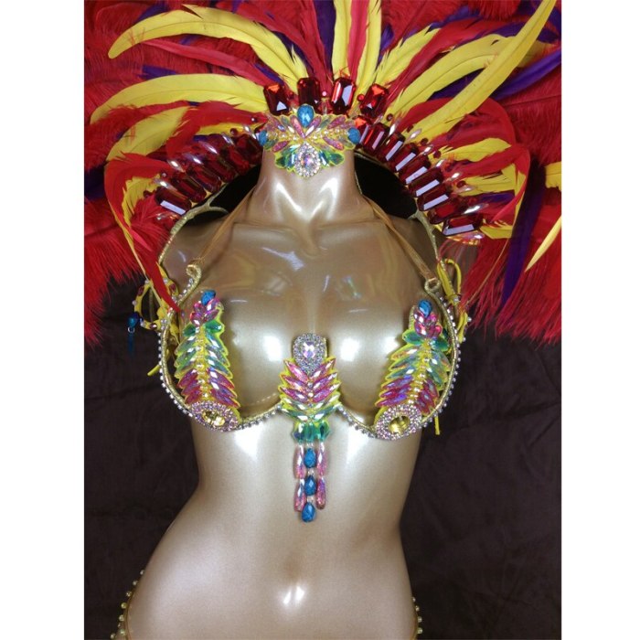 hot saling top quality Samba Rio Carnival Costume Sexy Belly Dancing Costume with Feather Headdress C1502