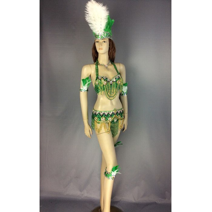 New design belly dance costume set Samba Carnivel RIO beaded Bra Costume Outfit Showgirl dancer wear 7color C201152-6