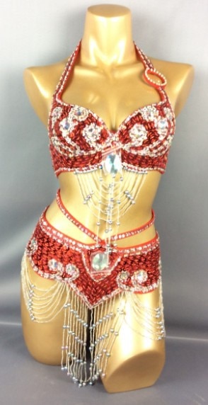 belly dancing suite belt+bra 2 piece set samba costumes club USA bra size  accept any size 14 color in tf209