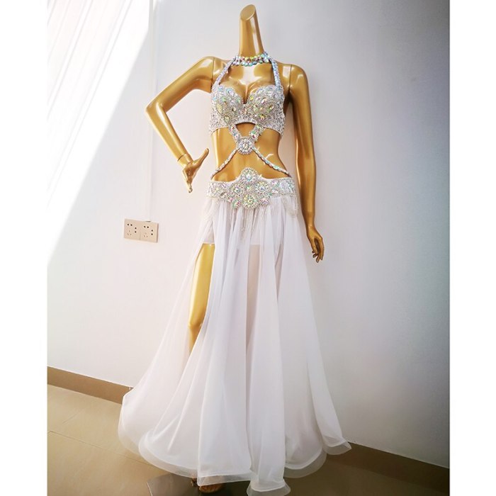 Top quality women belly dance suit bellydance Carnival costume Performance Outfit Bollywood Showgirl bellydance bra&belt&skirt TF1732 White + SK1905