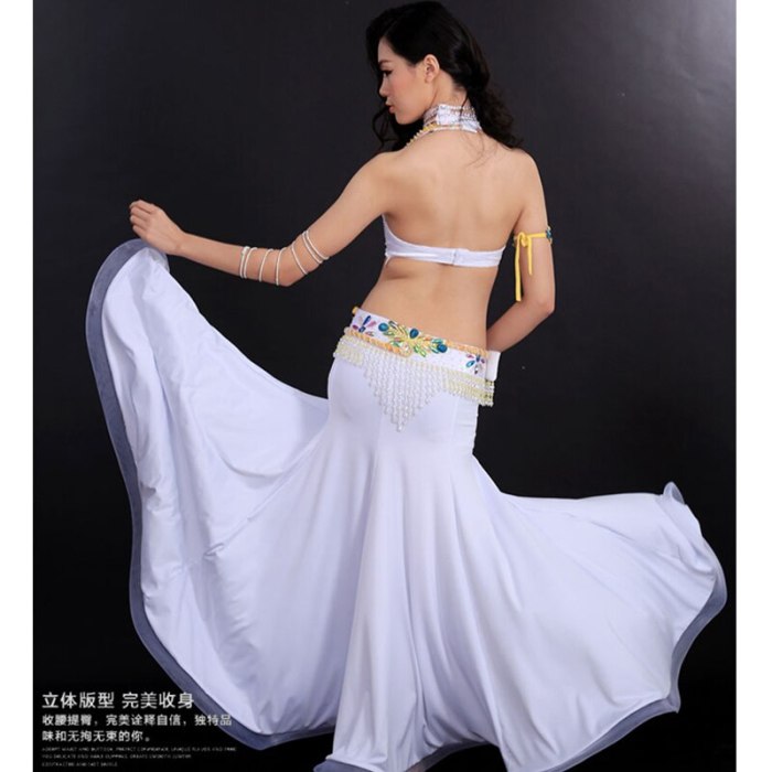 Free shipping Ney style belly dance costume set (bra+belt+skirt+arm) color stones 4pcs Y151