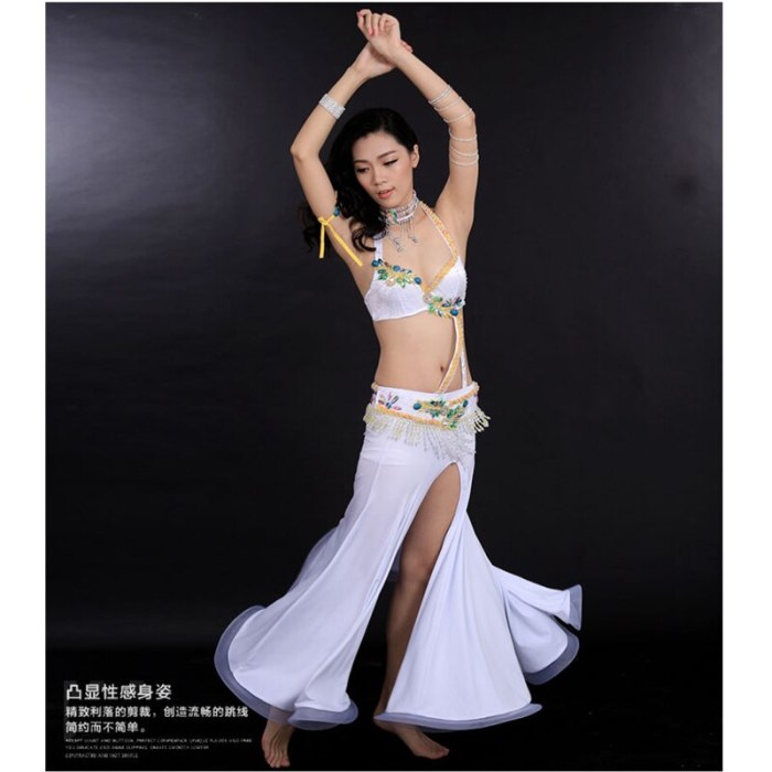 Free shipping Ney style belly dance costume set (bra+belt+skirt+arm) color stones 4pcs Y151