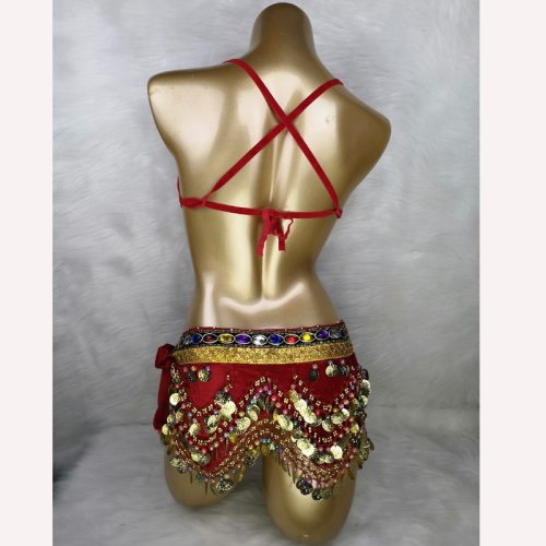 New Hot Shining Belly dance costume Sexy Samba Carnival set Wire Bra & Coin Belt Samba Suit performance wear C024