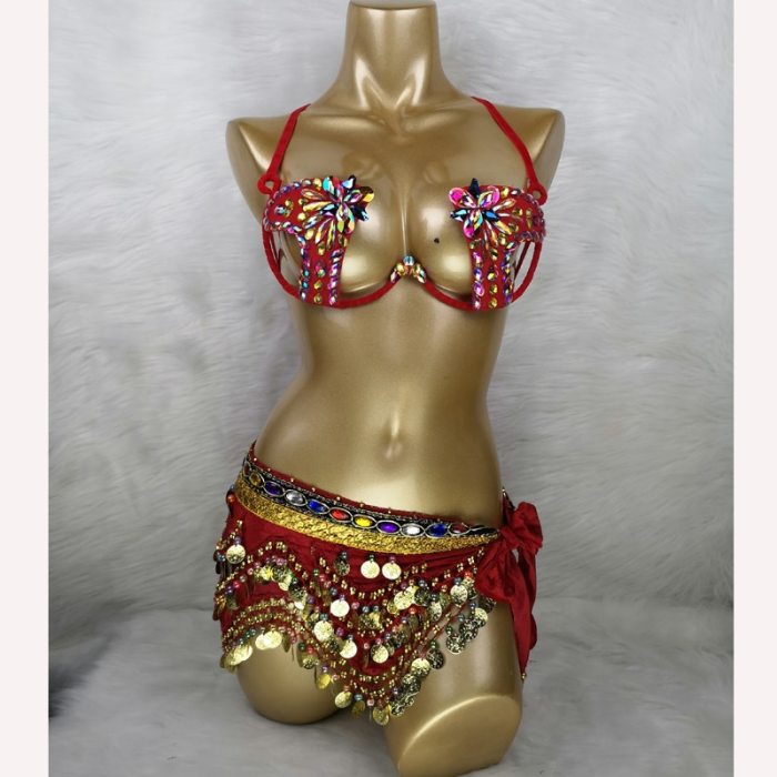 New Hot Shining Belly dance costume Sexy Samba Carnival set Wire