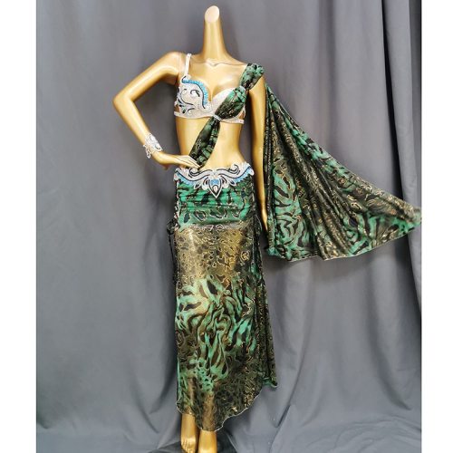 New Professional Performance Wear Belly Dance Costume Long Skirt Set Belly Dancing Sexy Bellydance Clothes Outfit For Women&Girl TF1922