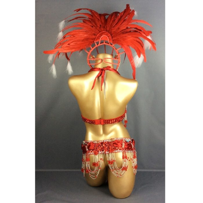 HOT SALEING parade Sexy Samba Rio Carnival Costume Feather Headdress #C1356