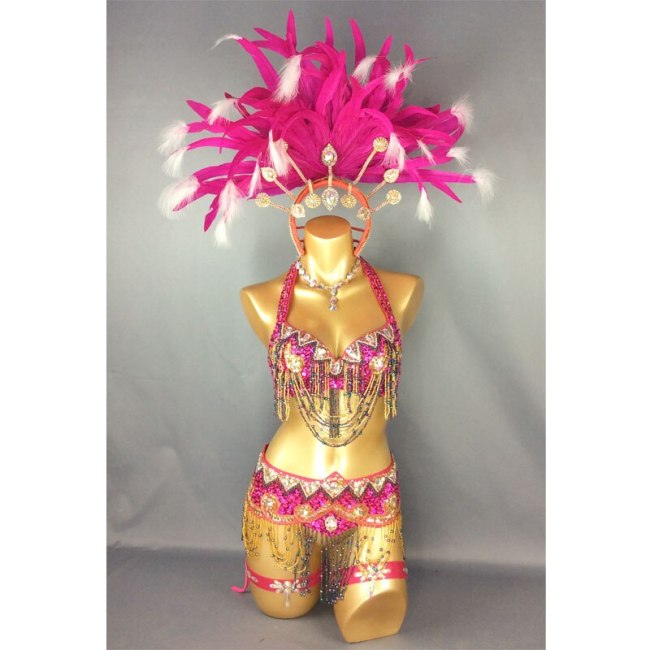 hot selling Sexy Samba Rio Carnival Costume new belly dance costume with hot pink Feather Head piece C1509