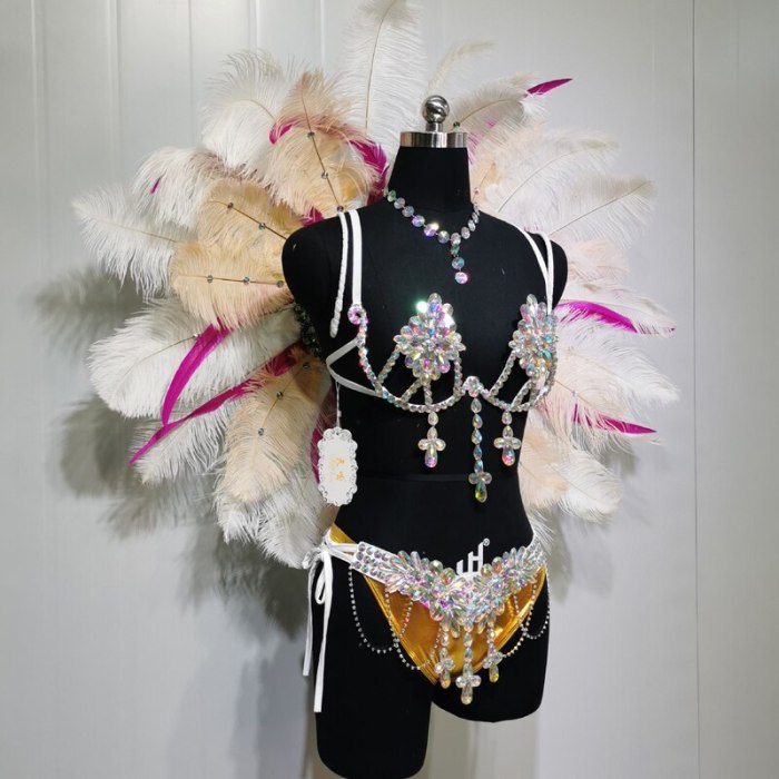 Top Quality Handmade Samba Rio Carnival Wire Bra+Panty+Feather Headdress With Stone Sexy Belly Dancing Costume CF002