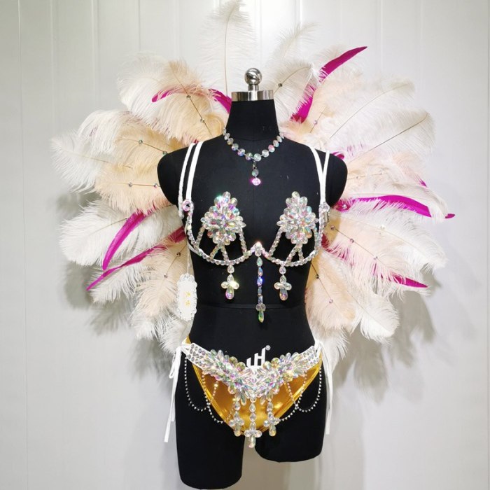 Top Quality Handmade Samba Rio Carnival Wire Bra+Panty+Feather Headdress With Stone Sexy Belly Dancing Costume CF002