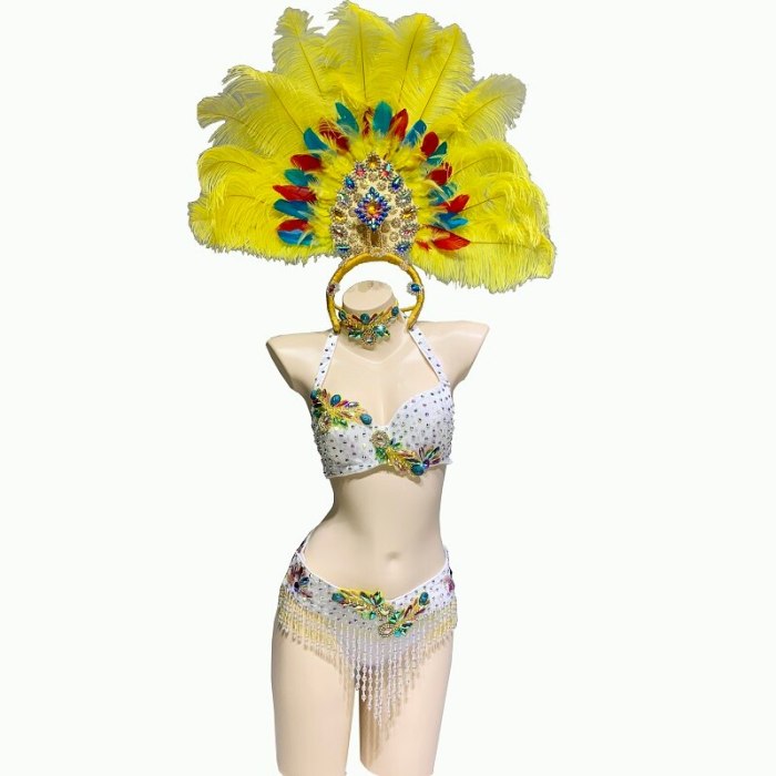 Sexy Women Samba Rio Carnival Costume Handmde Belly Dance Costume Wire Bra&Belt Set with Feather Head piece Rainbow stones C031
