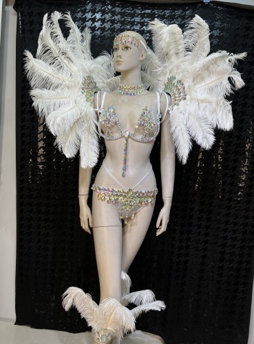 Top Quality Handmade Samba Rio Carnival Wire Bra+Panty+Feather Headdress With Stone Sexy Belly Dancing Costume CF003
