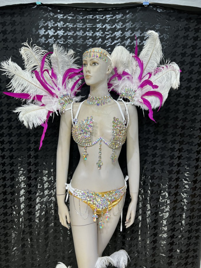 Top Quality Handmade Samba Rio Carnival Wire Bra+Panty+Feather Headdresncs With Stone Sexy Belly Daing Costume CF002-2