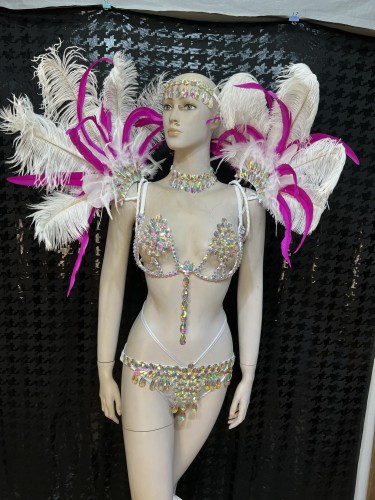 Top Quality Handmade Samba Rio Carnival Wire Bra+Panty+Feather Headdress With Stone Sexy Belly Dancing Costume CF002-4