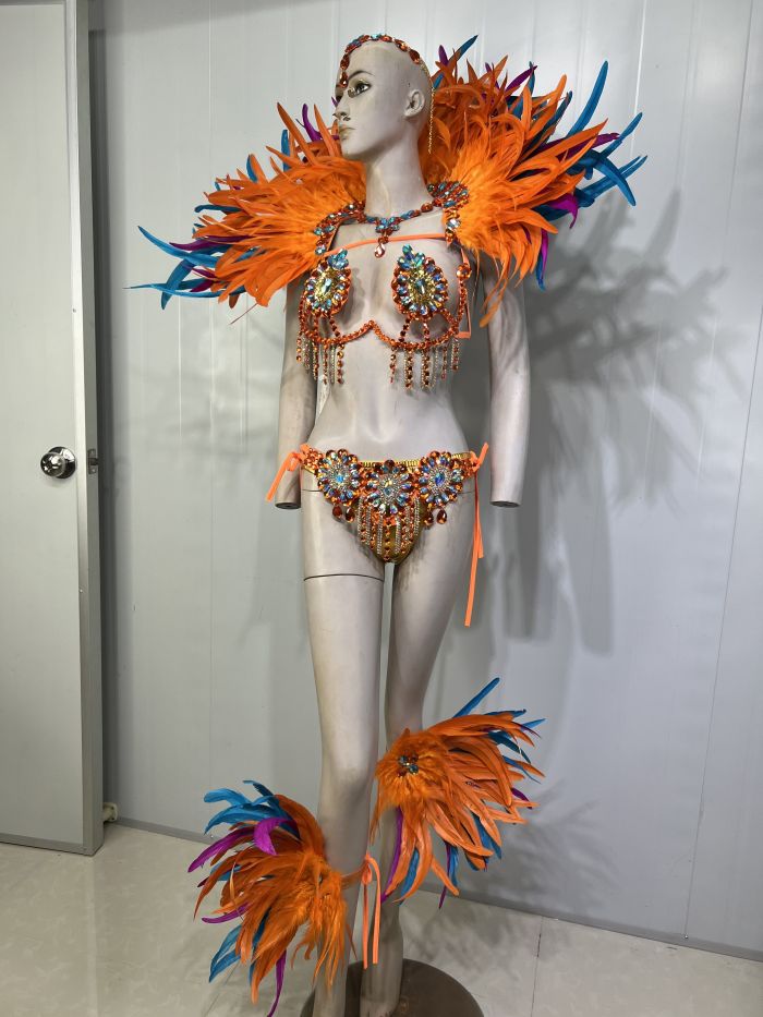 Top quality Handmade Samba Rio Carnival Costume With Stone Sexy Belly Dancing Costume Wire Bra + Panty + Feather Headdress CF021-2