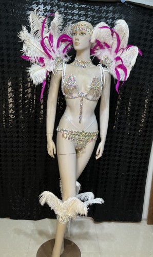 Top Quality Handmade Samba Rio Carnival Wire Bra+Panty+Feather Headdress With Stone Sexy Belly Dancing Costume CF005
