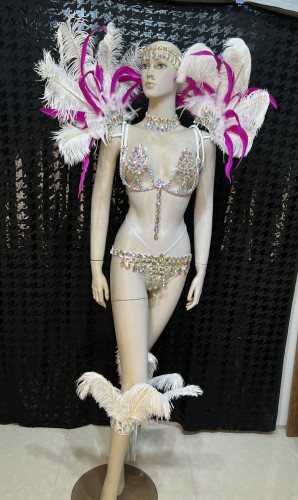 Top Quality Handmade Samba Rio Carnival Wire Bra+Panty+Feather Headdress With Stone Sexy Belly Dancing Costume CF002-4