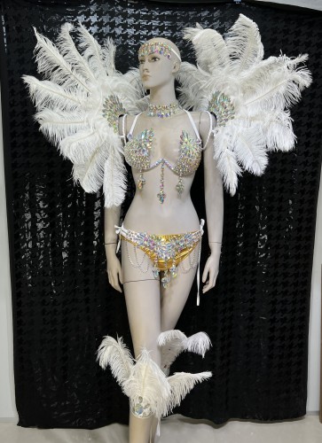 Top Quality Handmade Samba Rio Carnival Wire Bra+Panty+Feather Headdress With Stone Sexy Belly Dancing Costume CF004
