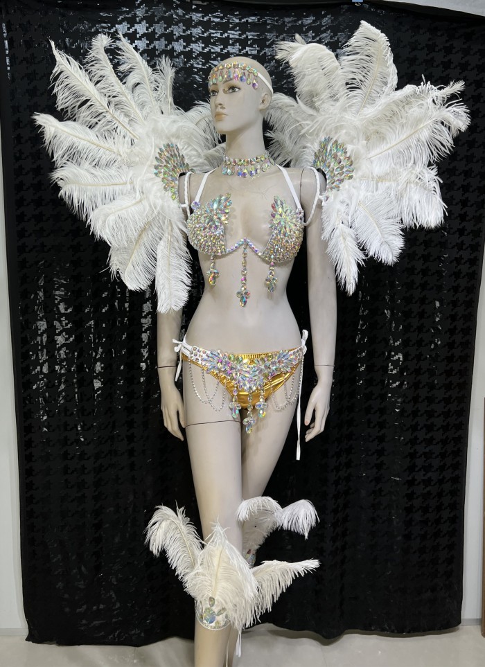Top Quality Handmade Samba Rio Carnival Wire Bra+Panty+Feather Headdress With Stone Sexy Belly Dancing Costume CF002-3