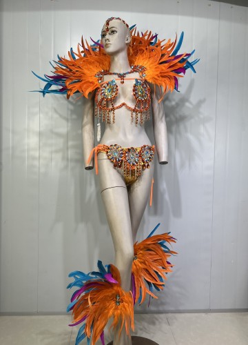 Top quality Handmade Samba Rio Carnival Costume With Stone Sexy Belly Dancing Costume Wire Bra + Panty + Feather Headdress CF021-2