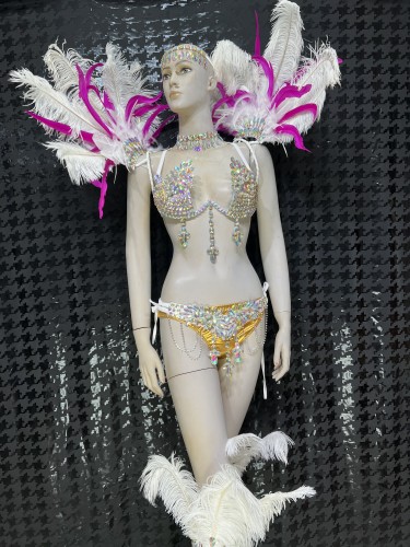 Top Quality Handmade Samba Rio Carnival Wire Bra+Panty+Feather Headdress With Stone Sexy Belly Dancing Costume CF001